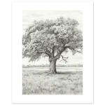 b487abbc-a3a2-4303-8826-713179c86438