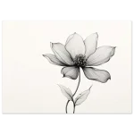 b497805d-4781-4ccf-b819-d6feeea0b412