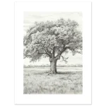 b5a5b560-14c0-4df7-9783-48cb552a9734