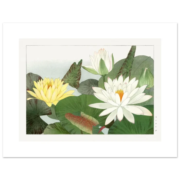 b5c219c2-a1d7-4c77-98d3-08094d628eb1