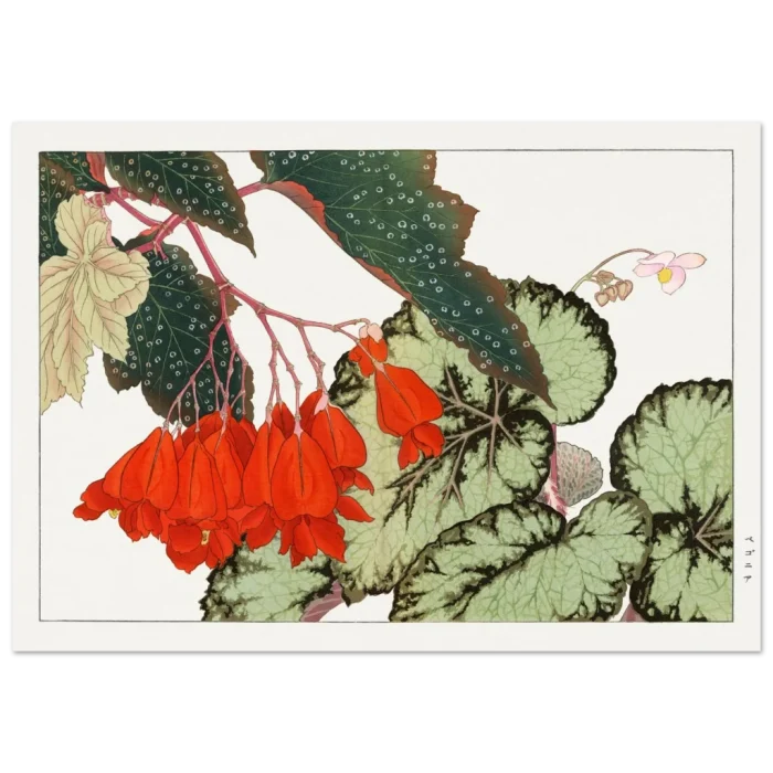 b5d4c472-c58e-49fd-ae5e-161960d478ae