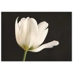 b675cc04-4da5-4543-a842-8185afedc95c