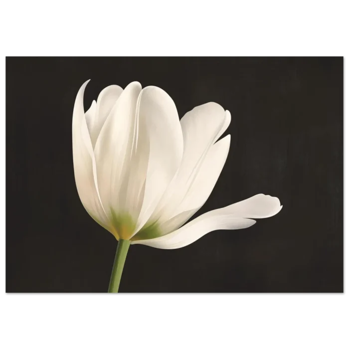 b675cc04-4da5-4543-a842-8185afedc95c