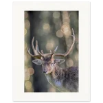 b6923f8f-abaf-4574-a0fe-e096e4b85a6f