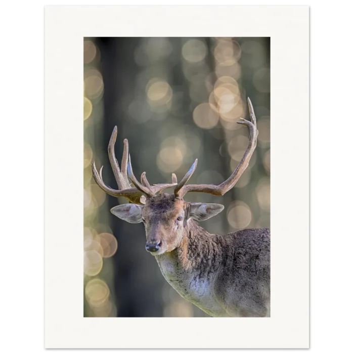 b6923f8f-abaf-4574-a0fe-e096e4b85a6f