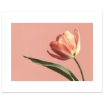 b73458ae-1d70-49e5-93ba-8d75c54ccaaa