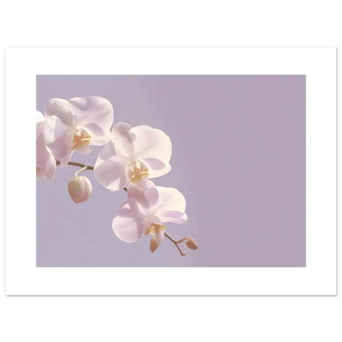 b78e5d07-1981-451e-8131-dffd0e22cf53