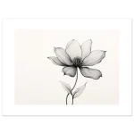 b7c7b423-f988-48e5-af8e-9c25453227a0