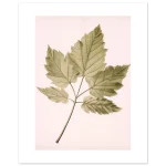 b7fb5974-6742-40b7-8ee4-0e7b6af62c5d