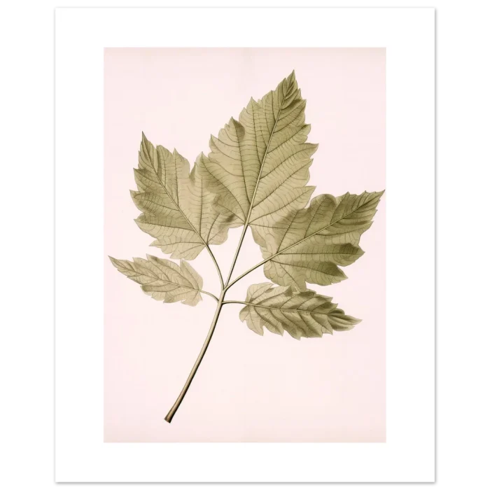 b7fb5974-6742-40b7-8ee4-0e7b6af62c5d