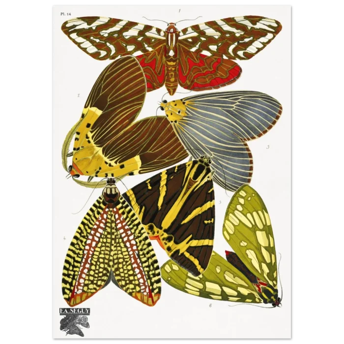 b89e89aa-5e0a-4f82-8eba-2f28e0bb4306