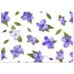 b92755c7-e4e0-44c2-a42f-7c637e51b8dd