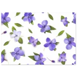 b98af28e-6e4a-4fb9-b105-0627ef7f8710