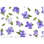 b9f7d0fd-c793-42e4-ba25-c025451a62b3