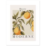 ba6fb904-8dc7-421e-a6e2-23b5bf830990