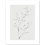 ba718b7a-6687-4272-ba56-5b1fa2806582