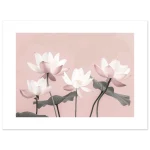 bb149c11-32c3-4696-904e-356d9392d742