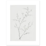 bbdb6d76-a684-4338-bd18-08e2bf7b159d