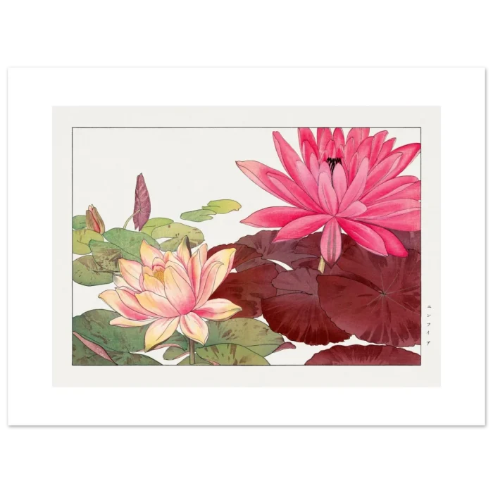 bbe97228-8335-46d7-8195-730b28fa68a9