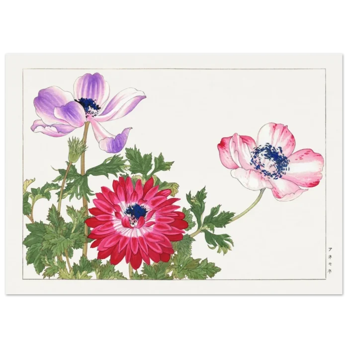 bd4be56b-1938-439c-8c9d-d8ded0003b44