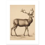 bd9acea3-71e5-443d-b97b-3e4ffc2925bd