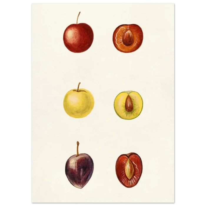 be03b9ce-da50-441f-b550-44f8af0af460