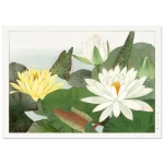 be709088-67c9-4d43-a70e-02a7185226bd