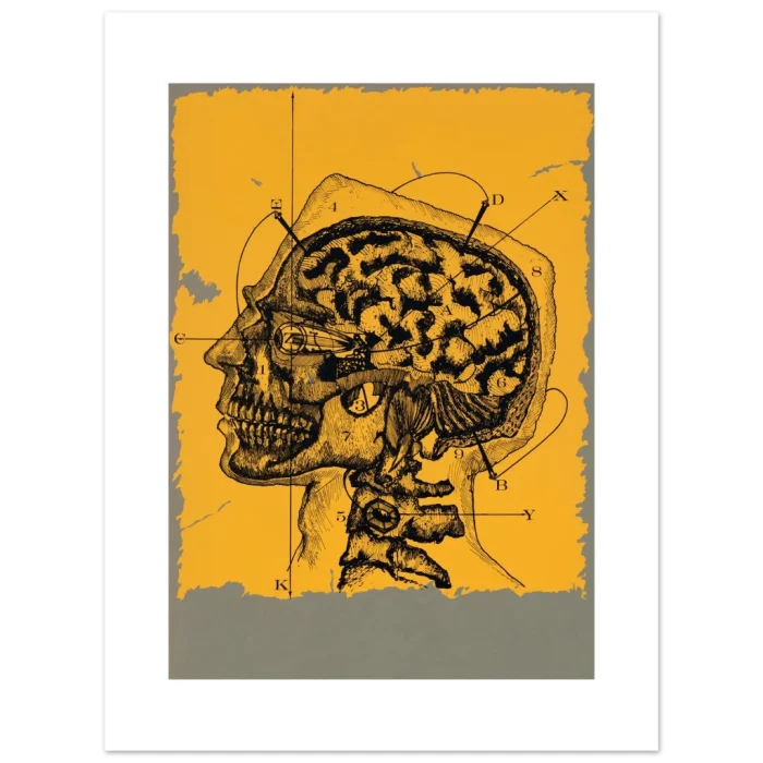 be91557c-87da-4cc6-a520-be465f857c7a