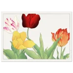 c038eb41-60c4-43fd-82af-bdd4a8595fc6