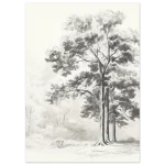 c071774f-3785-49c8-8312-0c086e78543b