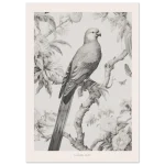 c217d21e-ea8a-4cd1-9a10-0d69585e03ce