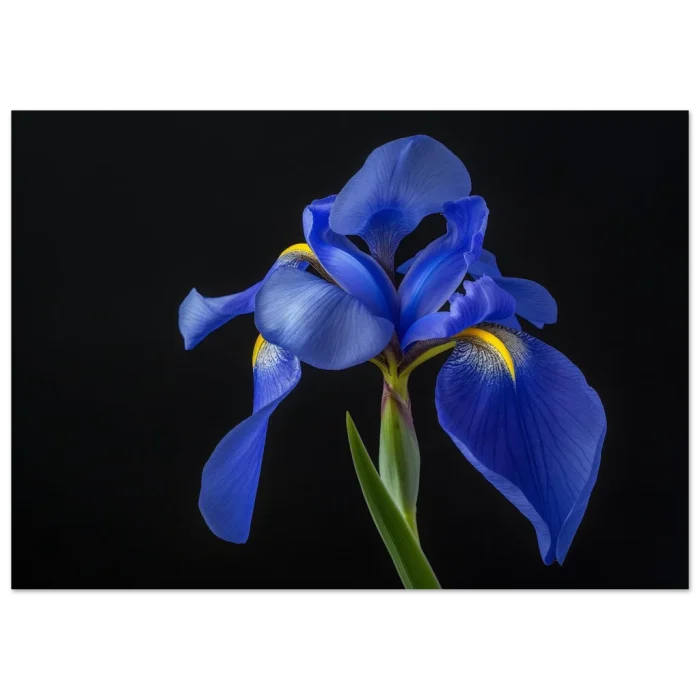 c2eb6db5-2f24-4eb4-a806-5df9c31da0da