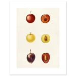 c37831b7-e372-4d37-9c46-88080e37227a