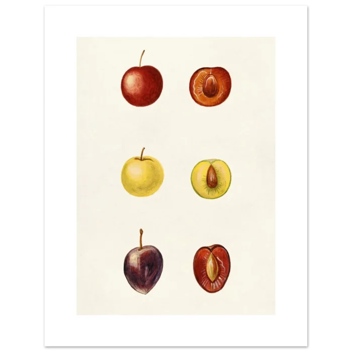 c37831b7-e372-4d37-9c46-88080e37227a