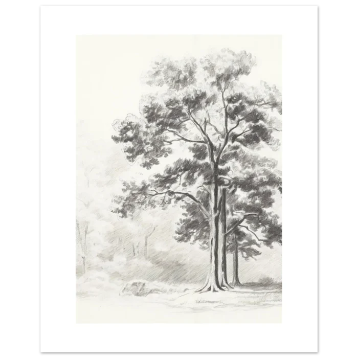 c37d9750-e031-4610-92a9-795c01169f5c