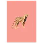 c3bacec7-7156-4b64-b71e-61918e0c8ffb