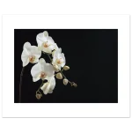 c494f85d-b454-4fda-966d-49ab164b7f68