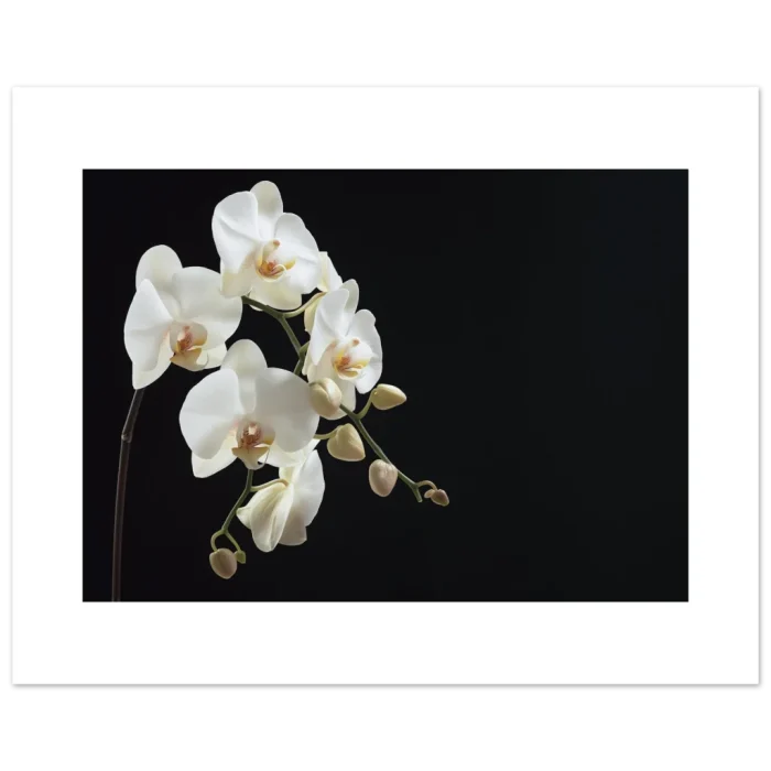 c494f85d-b454-4fda-966d-49ab164b7f68