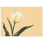 c523bdf6-0b87-4bd0-8192-b52e4f9d504c