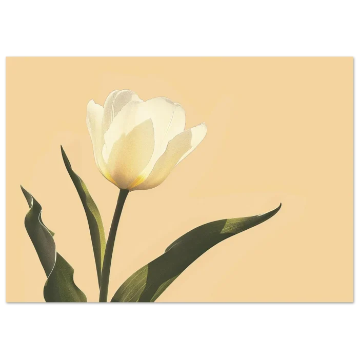 c523bdf6-0b87-4bd0-8192-b52e4f9d504c