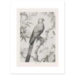 c58fc17a-0288-46d5-b356-7ab86c125ecd