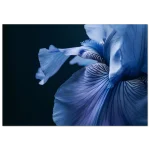 c5d38221-9780-4e66-a1e5-754017ca4a8c