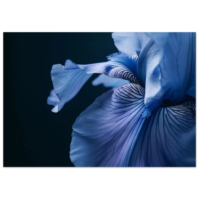 c5d38221-9780-4e66-a1e5-754017ca4a8c