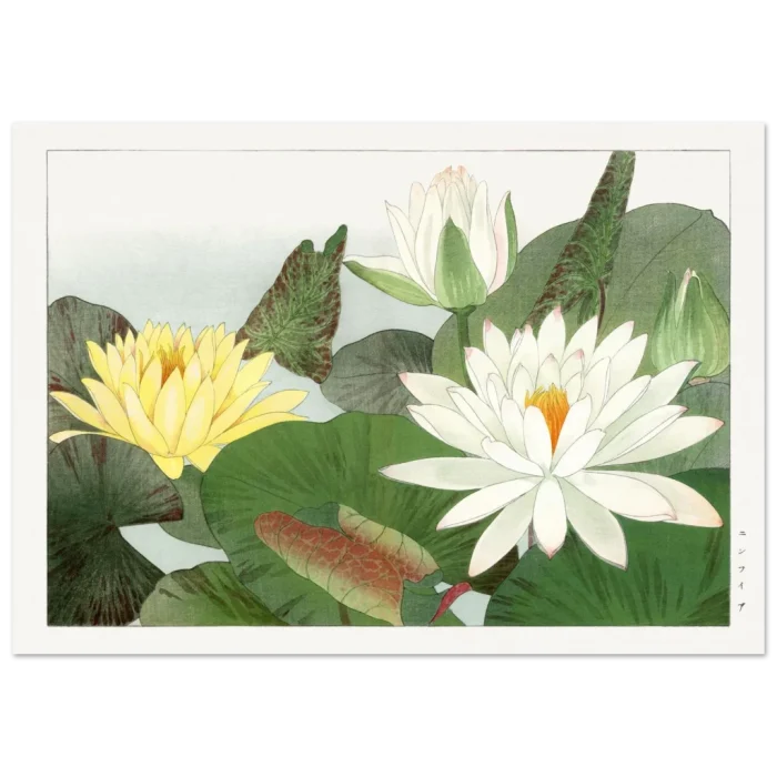 c665c99f-8552-4198-9eec-5aa503ae6abd