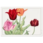 c69e6024-177b-4f6c-b1ff-d53c7e88137d