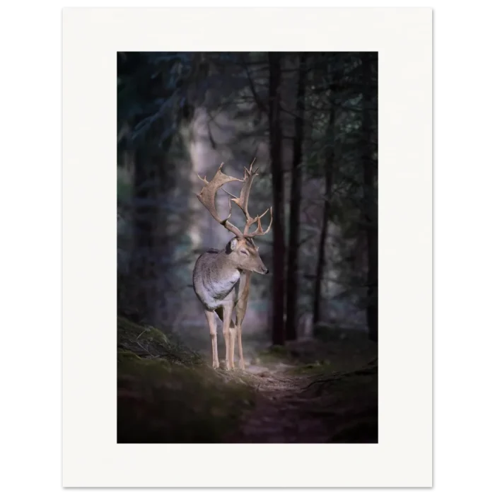 c6f6ab2d-1693-43d0-a54b-9ef4eff9e9c9