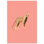 c71b5ba8-60f5-49fa-9237-47b9cddaffb9