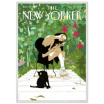 c799bae9-de3c-4650-8988-5d802d157039