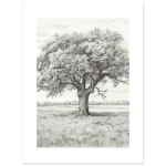 c7b0b35d-28d9-4de5-bff3-4ed65c3a5b6e