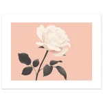 c8415169-3a72-4511-9626-2d9237500dbf